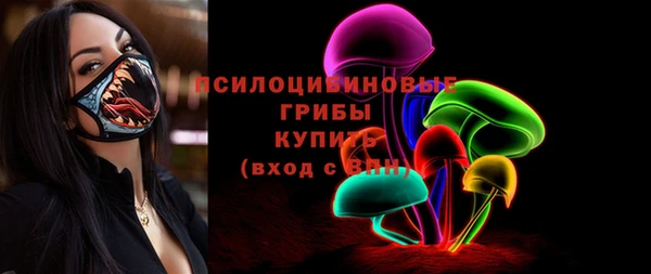 крисы Кинешма