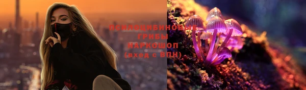 крисы Кинешма