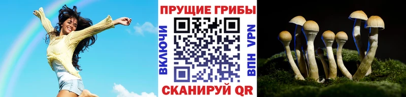 Псилоцибиновые грибы Psilocybine cubensis  гидра как зайти  Ногинск 