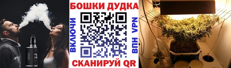 наркота  Ногинск  hydra сайт  Каннабис план 